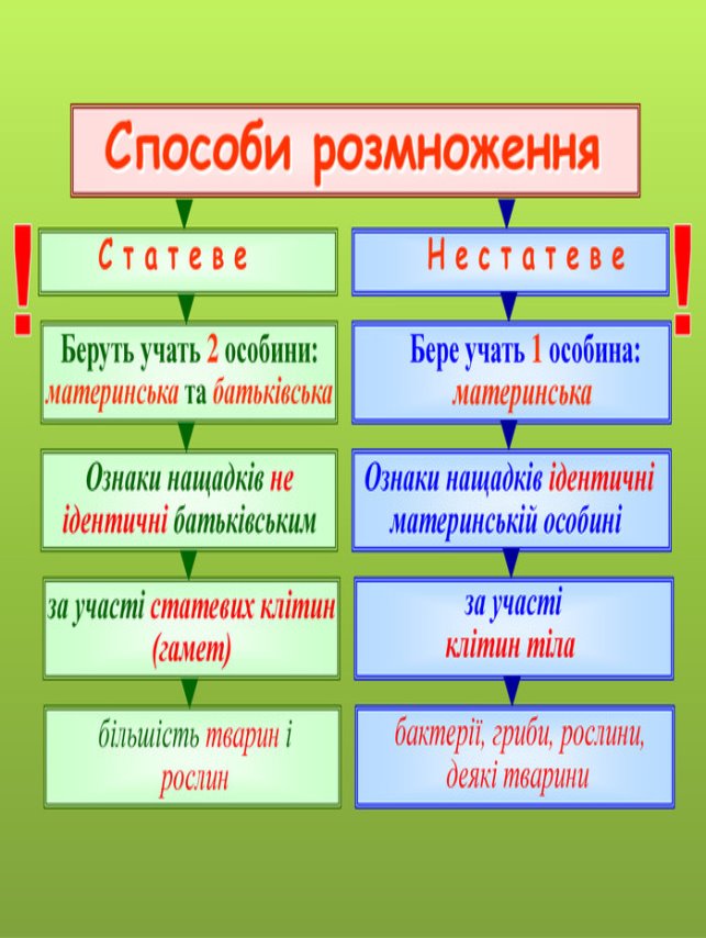 Презентація "Розмноження рослин різними способами"